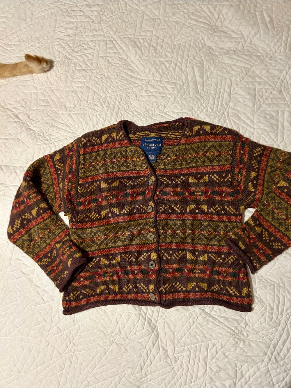 Abercrombie & Fitch "The Harvest" Fair Isle cardigan sweater